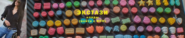 ECSTASY Богородицк